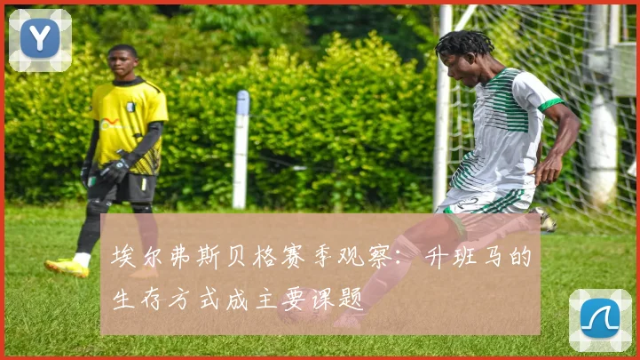 埃尔弗斯贝格赛季观察：升班马的生存方式成主要课题