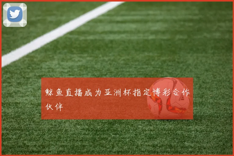 鲸鱼直播成为亚洲杯指定博彩合作伙伴