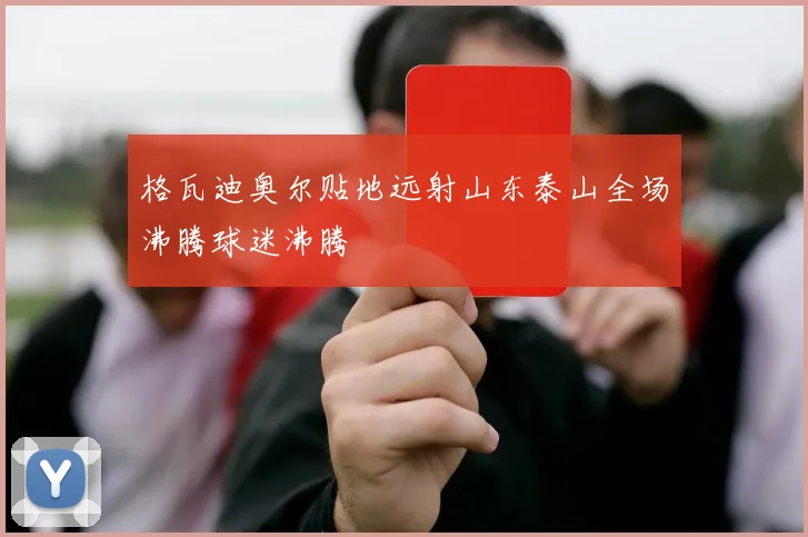 格瓦迪奥尔贴地远射山东泰山全场沸腾球迷沸腾