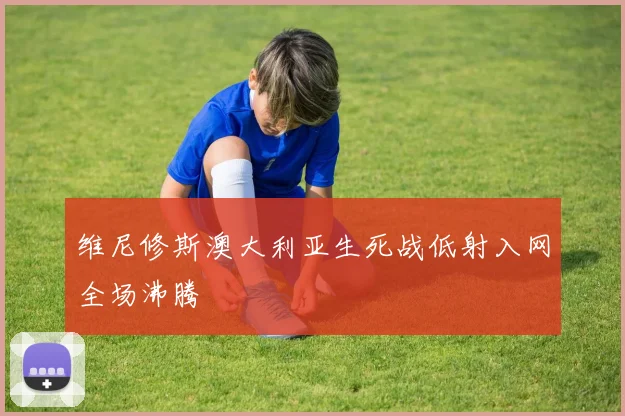 维尼修斯澳大利亚生死战低射入网全场沸腾