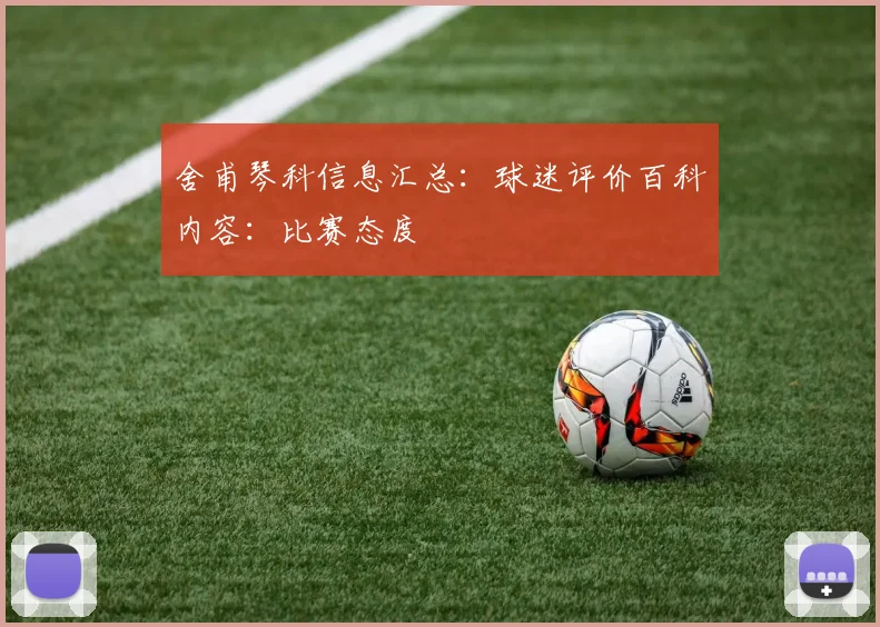 舍甫琴科信息汇总：球迷评价百科内容：比赛态度