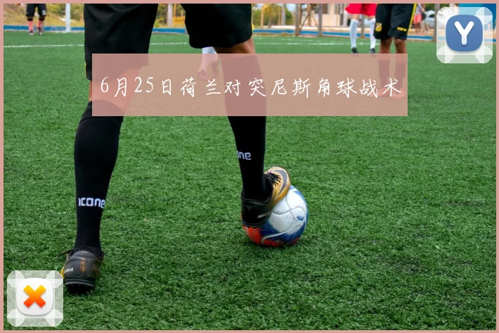 6月25日荷兰对突尼斯角球战术