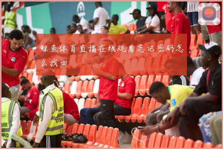 鲸鱼体育直播在线观看忘记密码怎么找回