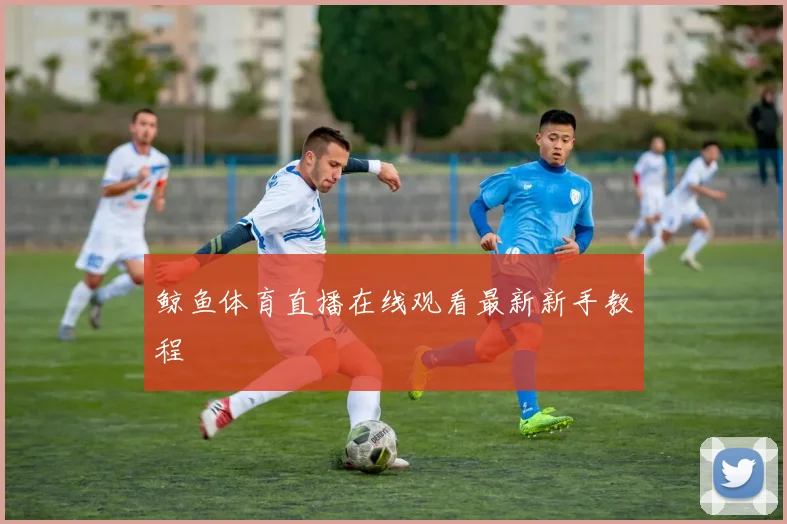 鲸鱼体育直播在线观看最新新手教程